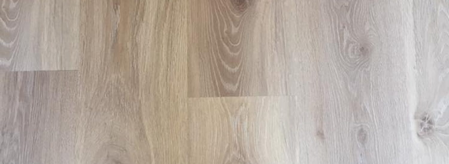 18301759_1158456997599186_8209410947505396162_n